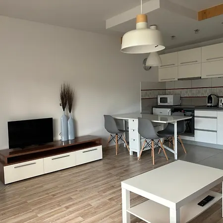 Apartament Widokowy Zakopane Zewnętrze zdjęcie