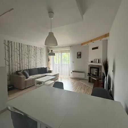 Apartament Widokowy Zakopane Zewnętrze zdjęcie